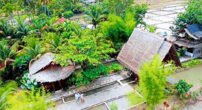 Tropical Jungle lodge & Jungle trekking