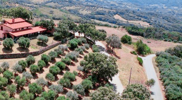 Tenuta Raimo in Altavilla Silentina