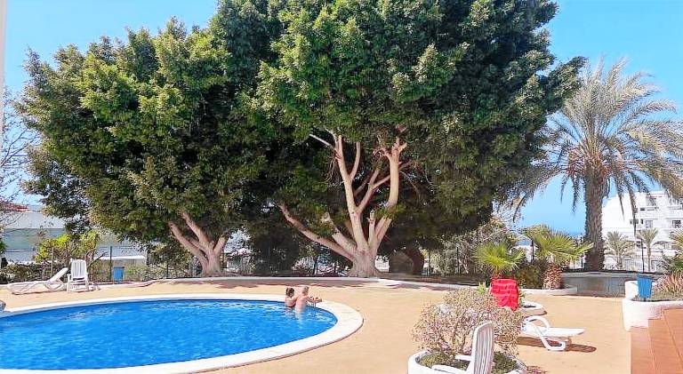 Fully equipped beautiful rental apartment with patio & pool | Next to the beach | Dogs allowed in Adeje