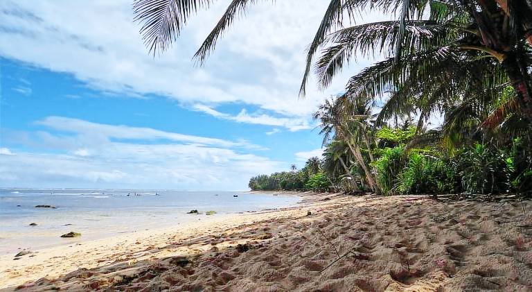 Fully Private, Beach Access, Native Cottage, Queen Bed, AC, Starlink WiFi — photo 5