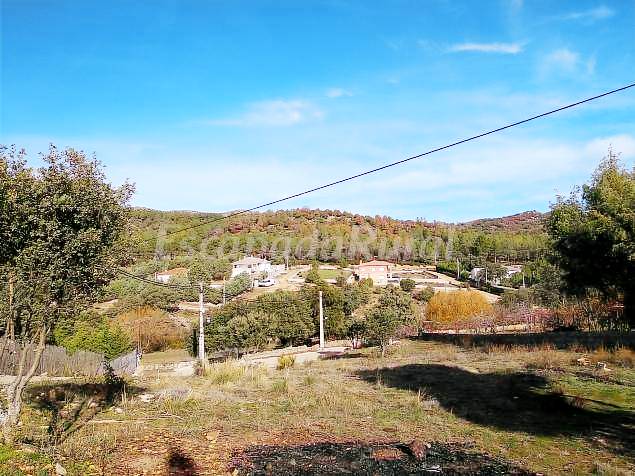 foto6