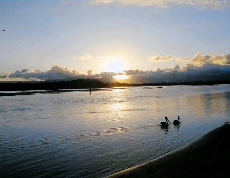 Cottage Warilla