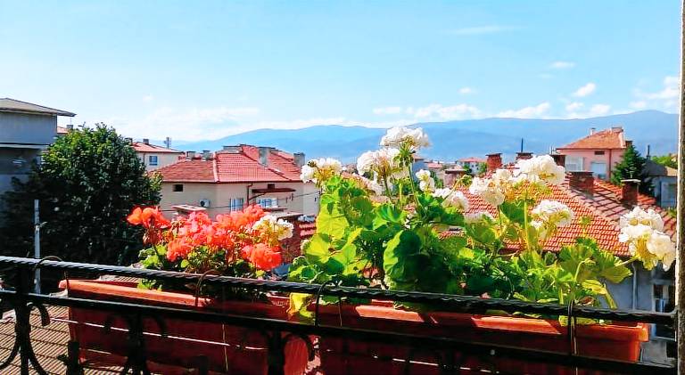 Spacious rental apartment with yard & terrace | Pets are welcome — photo 4