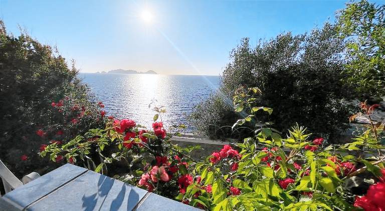 Holiday apartment with 1 room for 3 persons — photo 4
