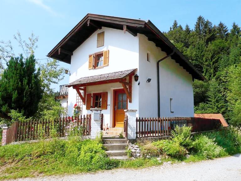 Ferienhaus Bad Bayersoien