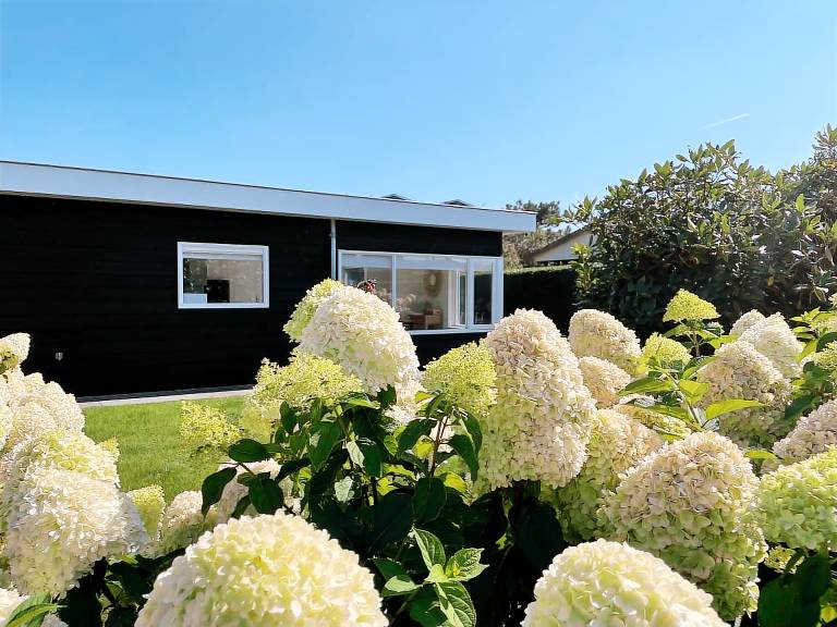 Bungalow  Callantsoog