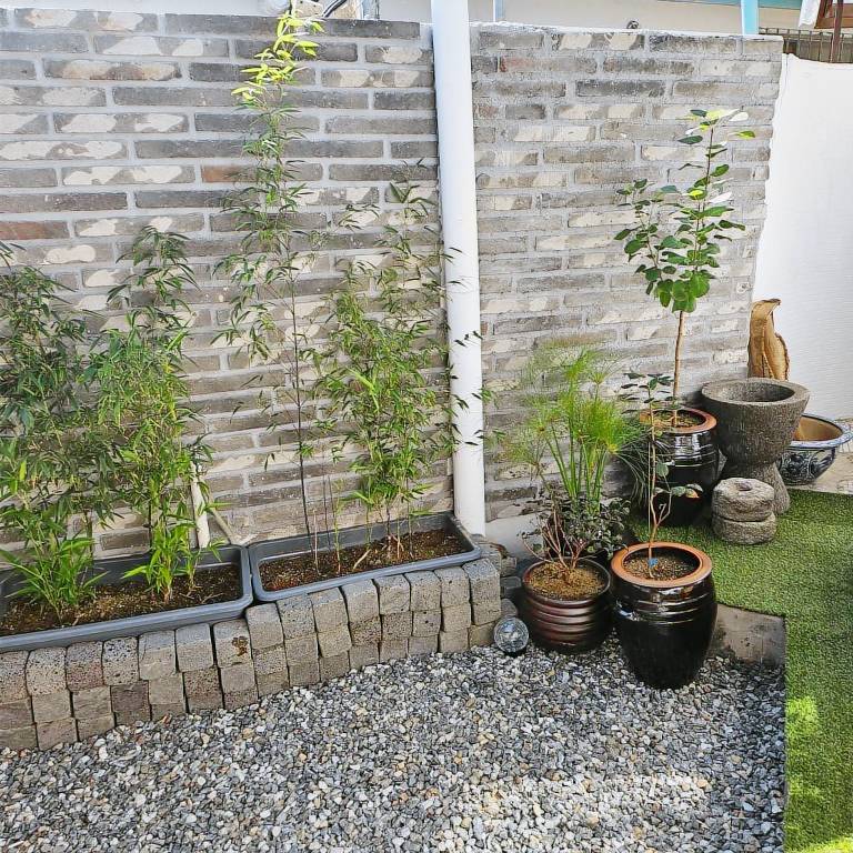 foto9