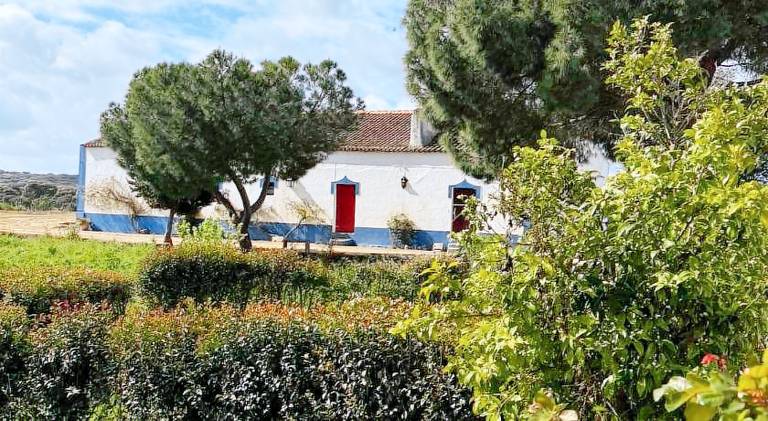Fully equipped beautiful vacation home with barbecue, private pool & patio | Good for workation | Pet-friendly in Fronteira