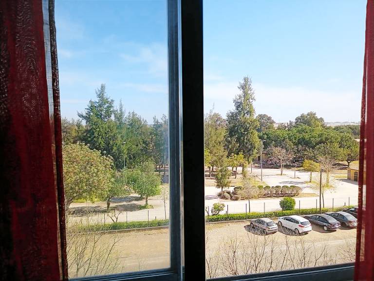 Nice holiday apartment | Pets allowed — photo 4