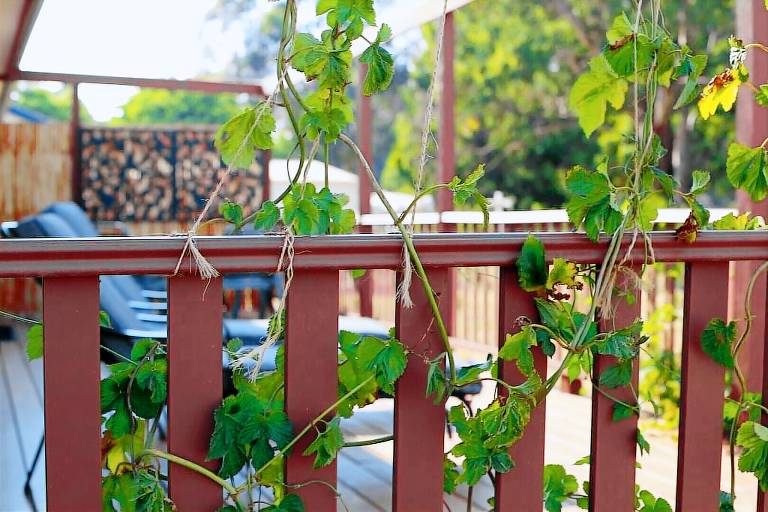 Cottage  Kyneton