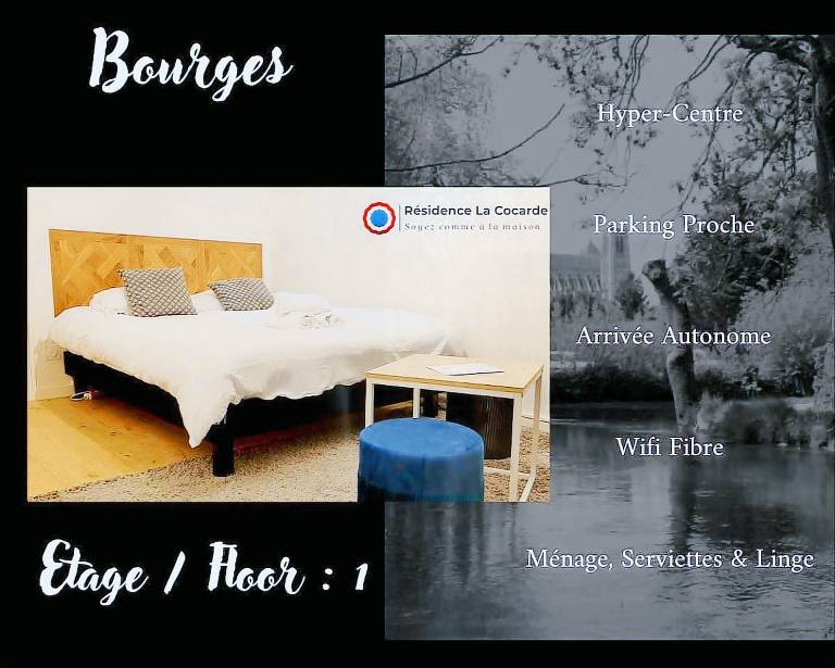 Pleasant holiday apartment | Good for workation | Pet-friendly in Bourges