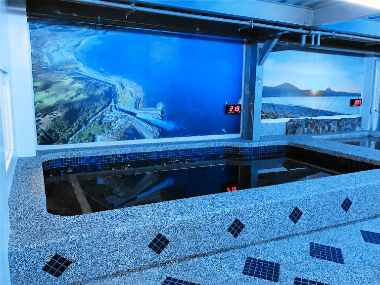 Kenting Maldives Hot Spring Hotel — photo 4
