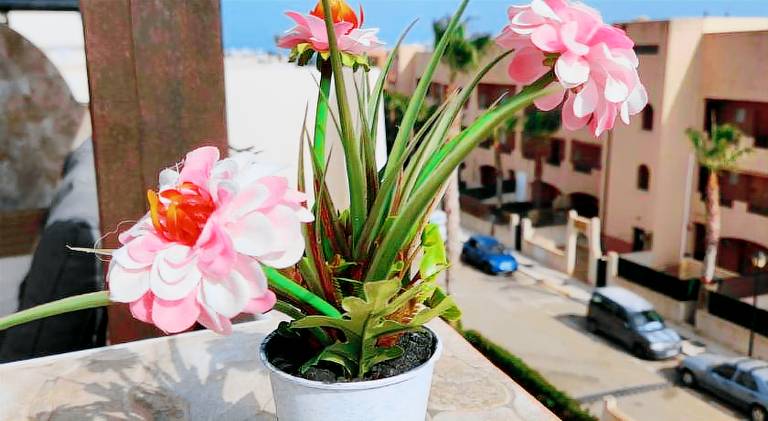 Apartment with pool in Vera