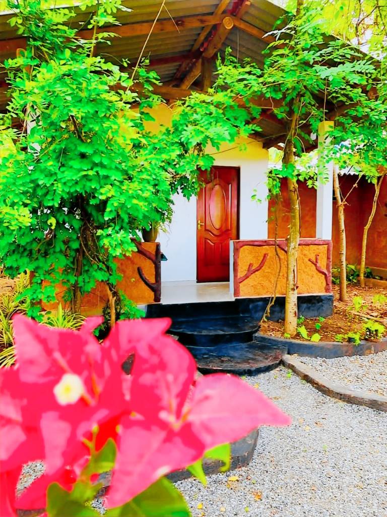 Wild Queens Safari Cottage