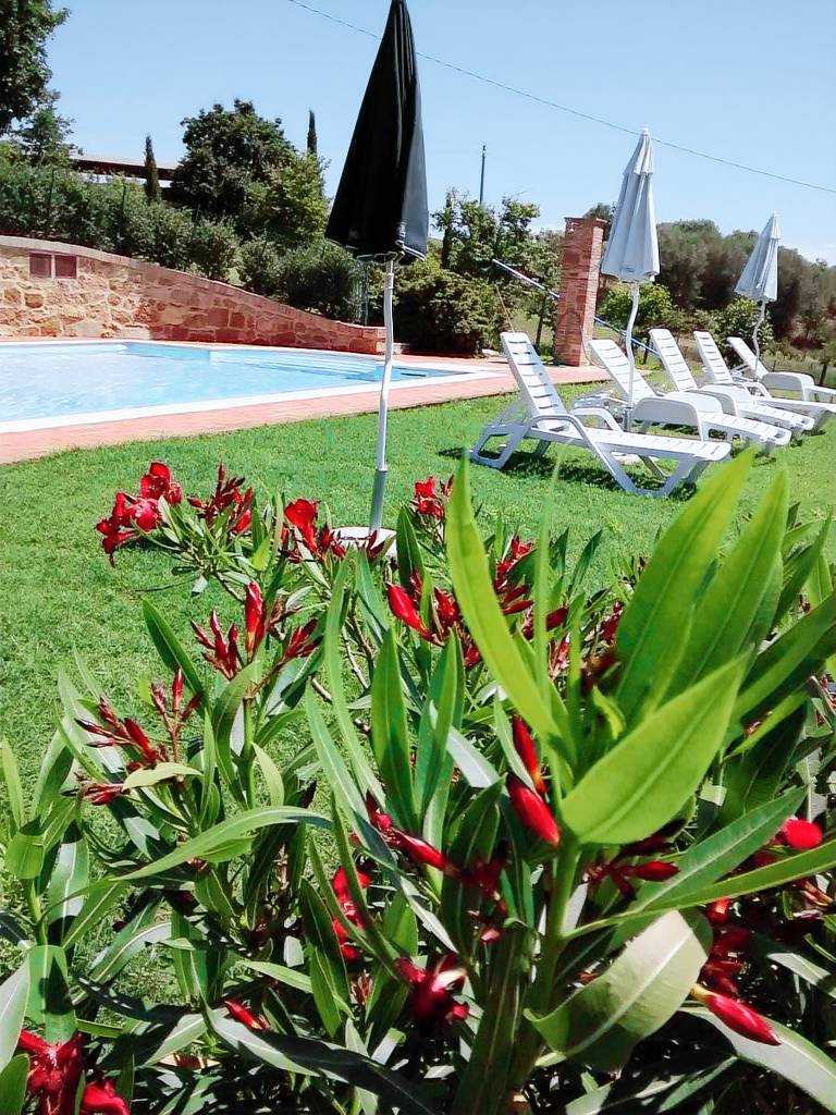 Casa Frati: Il Pioppo — photo 5