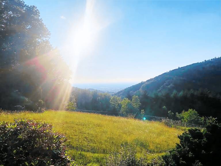 Ferienwohnung Bühlertal