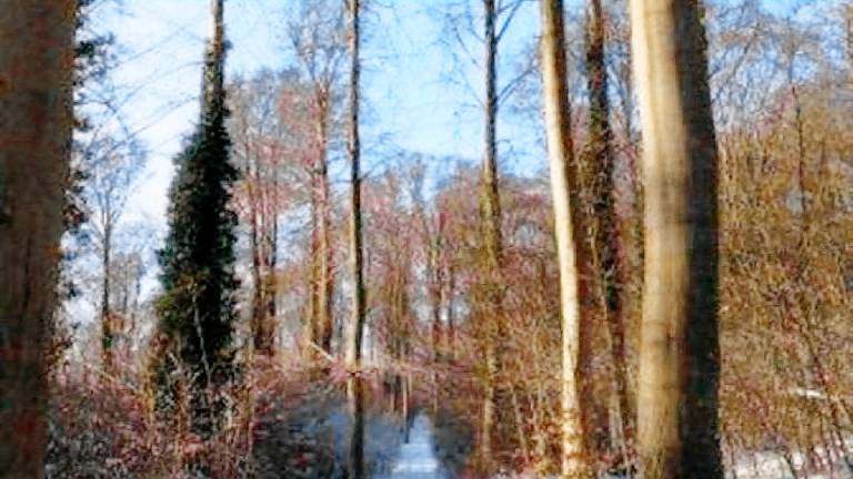 Ferienwohnung Loddin