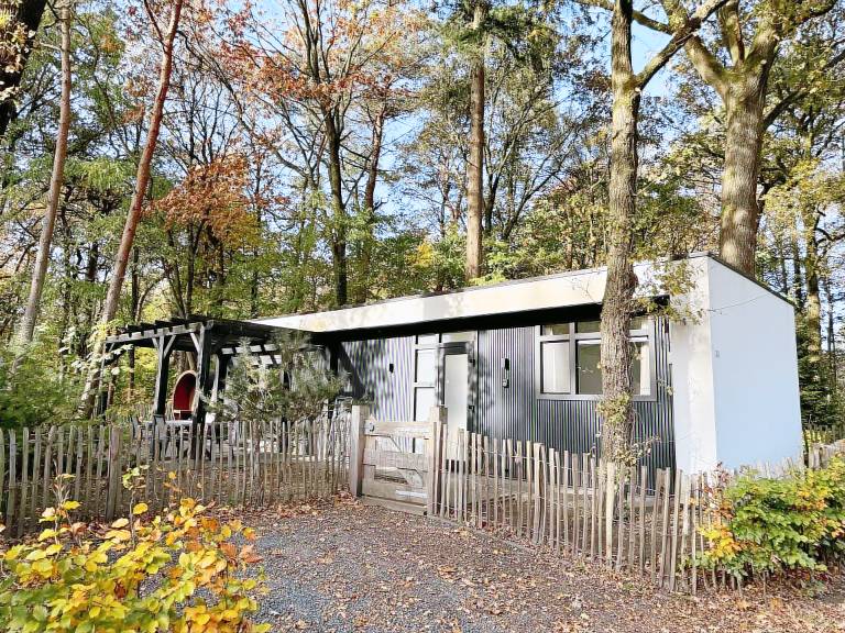 Enjoy wonderful at the edge of the forest