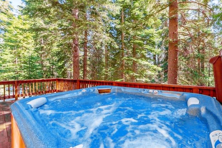 Cabin Donner Lake