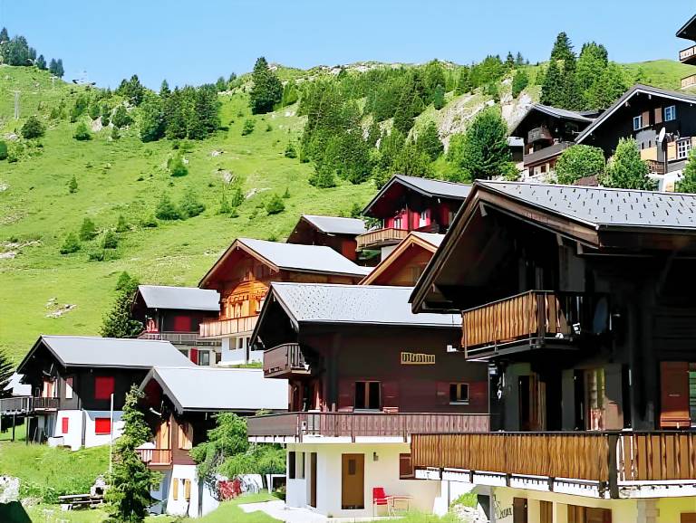 Chalet with sauna, garden & BBQ | Close to the ski | Perfect for remote work | Pets allowed — photo 3