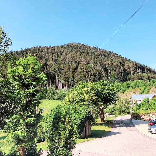 foto2