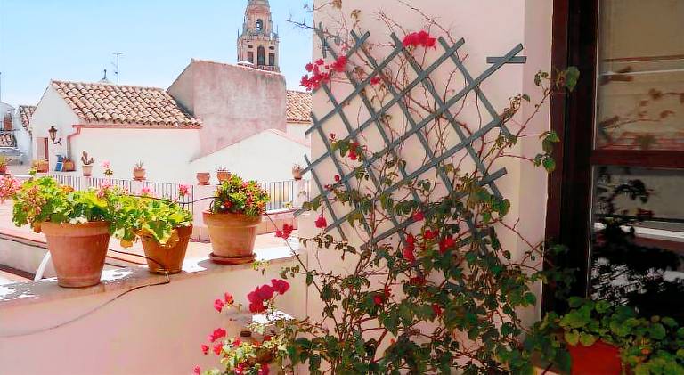 Holiday apartment | Next to Mosque–Cathedral of Córdoba — photo 3