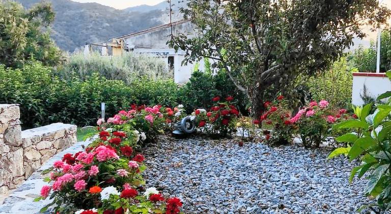 LA PERGOLA Affitta Camere