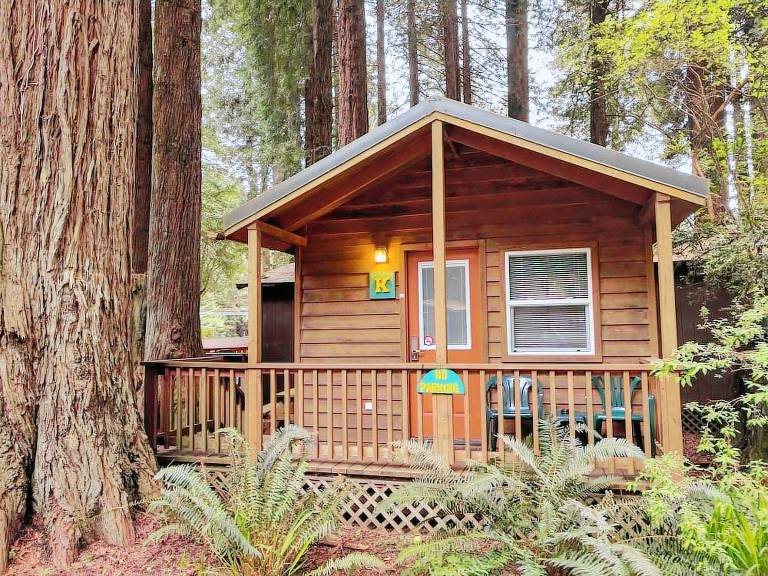 Cabin Humboldt County