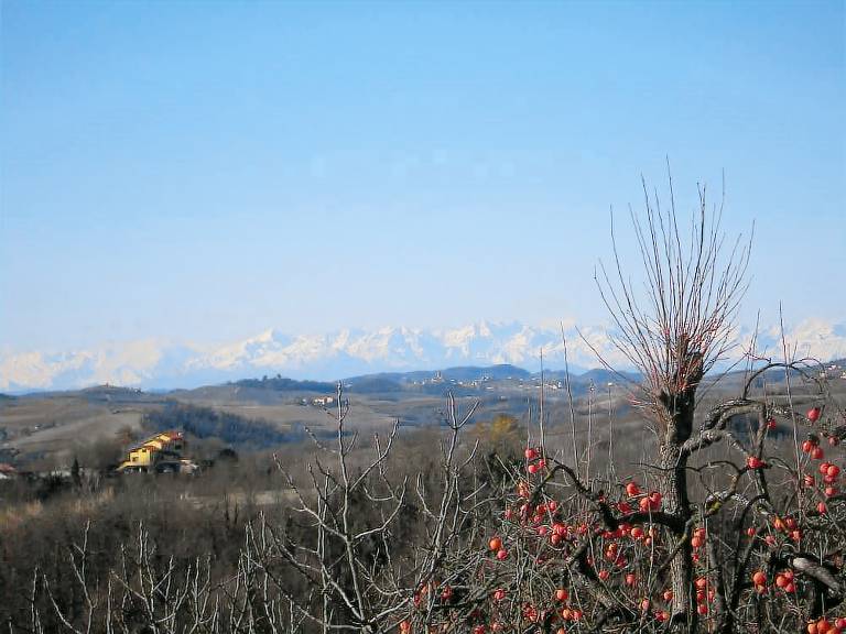 Bed & Breakfast Camagna Monferrato