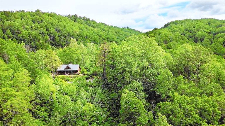 Cabin Saluda