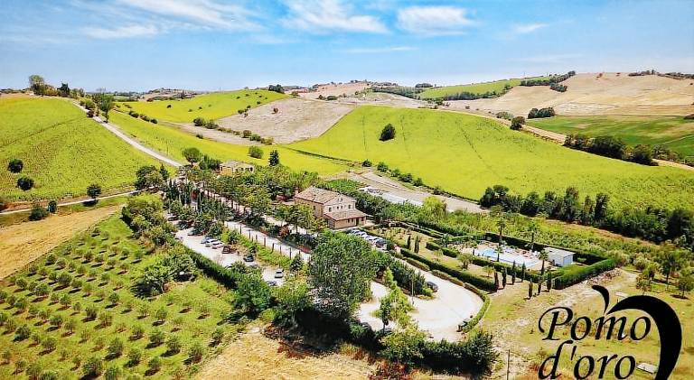 Farm with yard, terrace & pool — photo 4