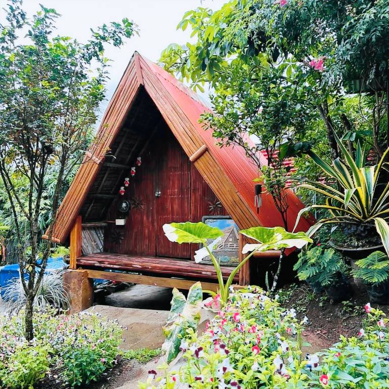 House with jacuzzi, garden & barbeque — photo 5