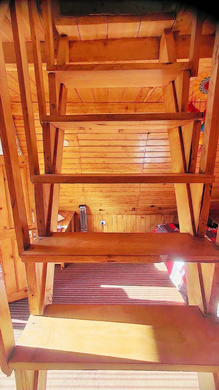 Pinehill cottage — photo 5