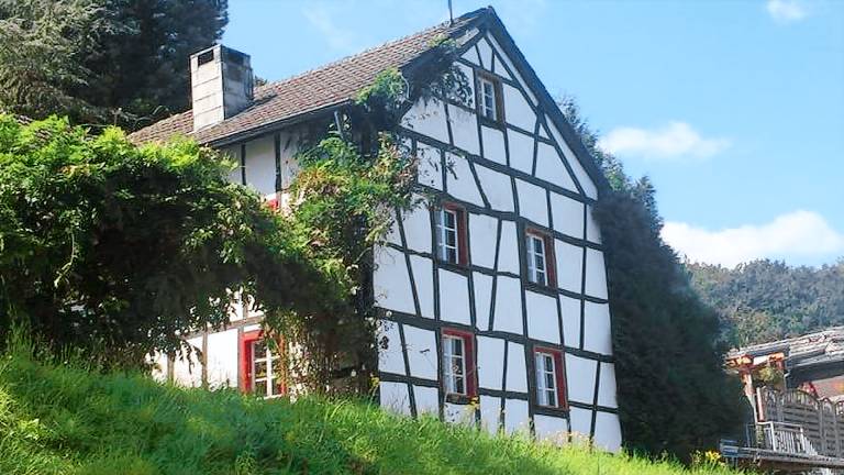 foto1