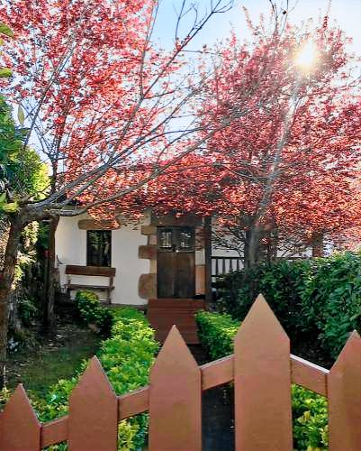 Casa Puente Viesgo