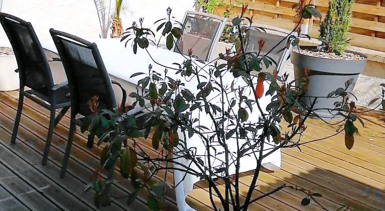 Apartment | Pets allowed — photo 2