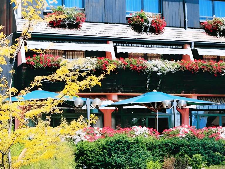 Hotel Le Menestrel in Riquewihr