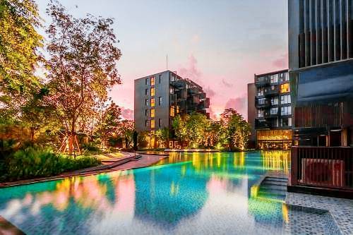 Serviced apartment  Patong