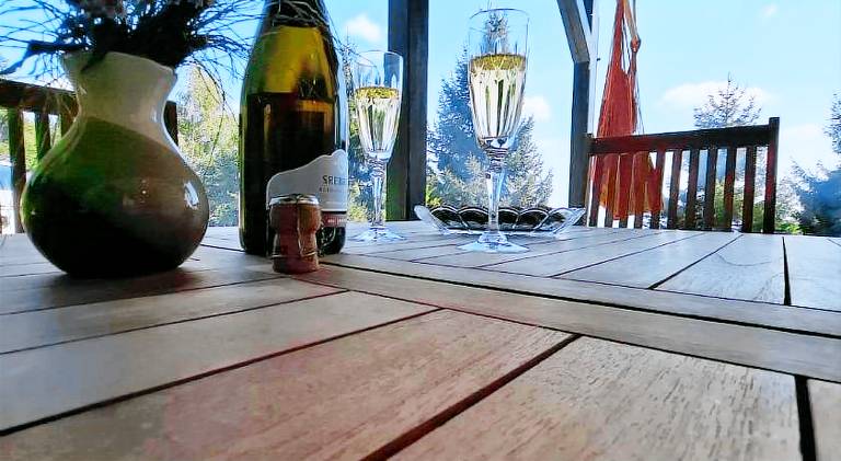 Beautiful holiday apartment | Pets allowed in Maribor