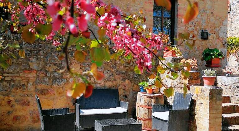 Holiday apartment with 3 rooms for 5 persons in Sovicille