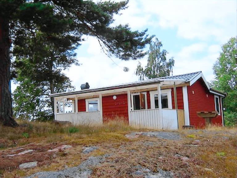 Ein Paradis für Familien und Sportangler! — photo 4