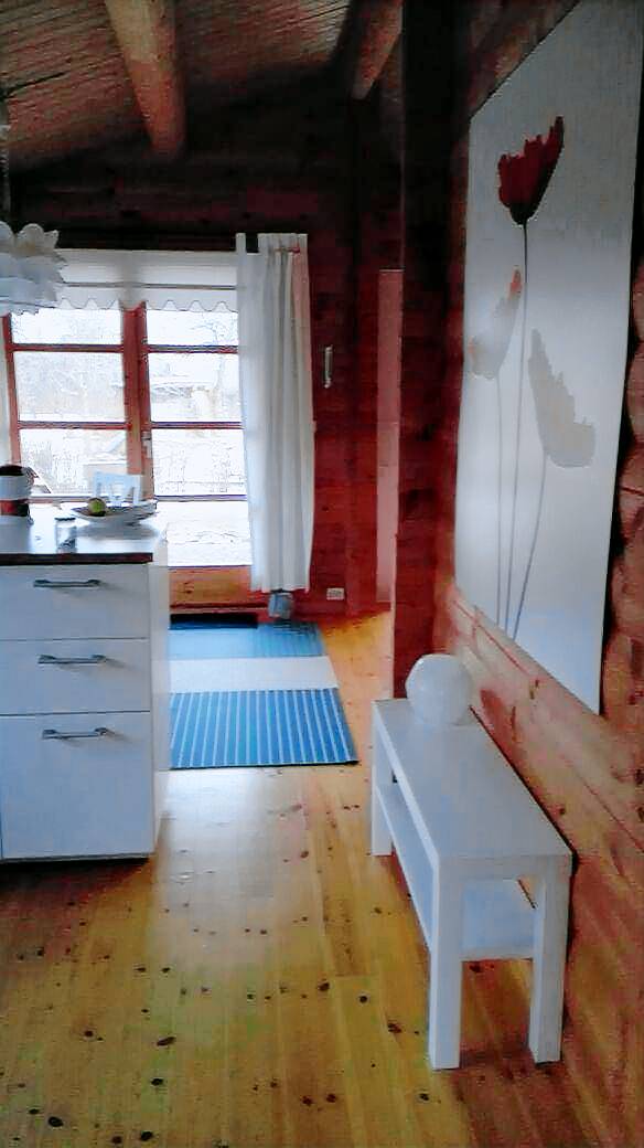 foto1