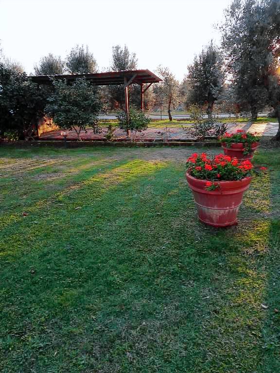 Villa with yard — photo 4