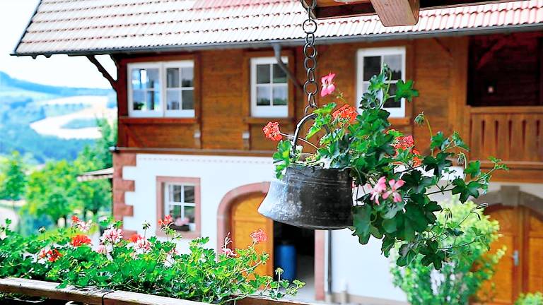 Ferienwohnung Zell am Harmersbach