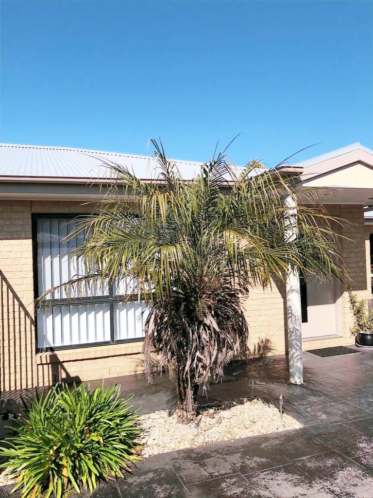 Apartment Yarrawonga