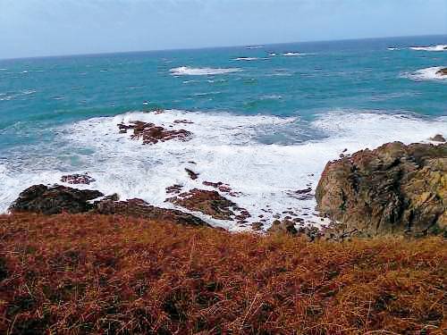 Chambre d'hôtes  Dol-de-Bretagne