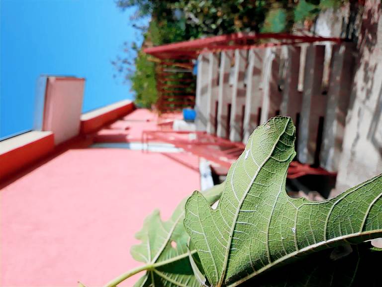 foto12