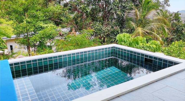 Villa with pool — photo 4