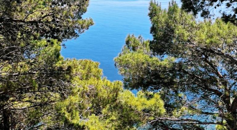 Vacation home with garden, barbecue & patio | Good for workation in Salerno