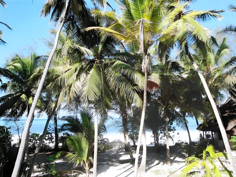 Panga Chumvi Beach Resort — photo 3